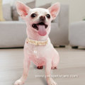 Dog Cat Collar Premium Leather Adjustable Dog Collar